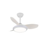Ventilador de techo