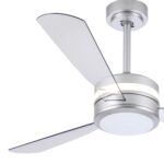 Ventilador de techo
