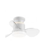 Ventilador de techo