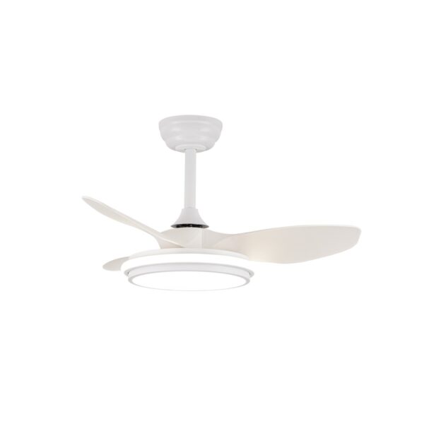 Ventilador de techo
