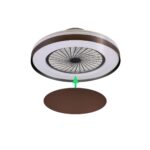 Ventilador de techo