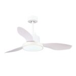 Ventilador de techo