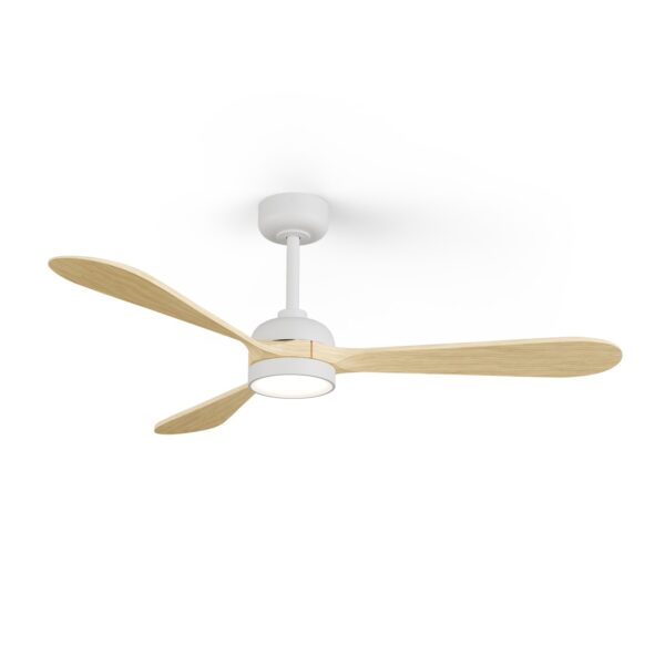 Ventilador de techo