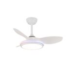 Ventilador de techo