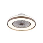Ventilador de techo