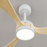 Ventilador de techo