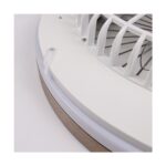 Ventilador de techo