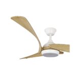 Ventilador de techo