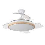Ventilador de techo
