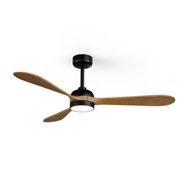 Ventilador de techo