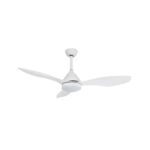 Ventilador de techo