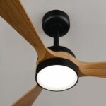 Ventilador de techo