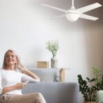 Ventilador de techo