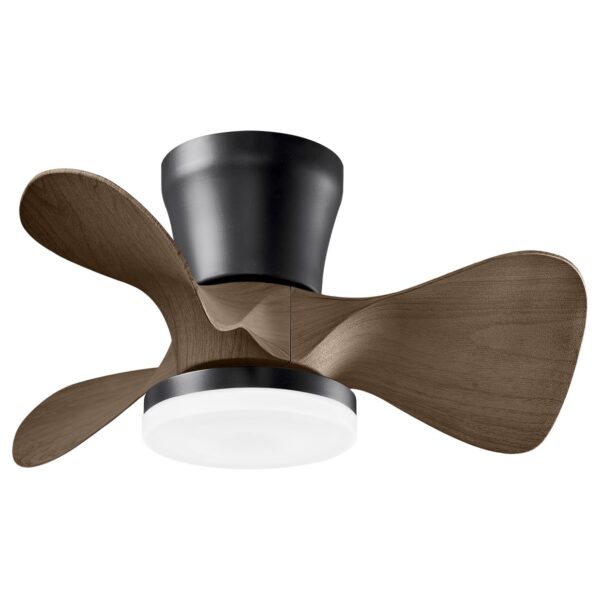 Ventilador de techo