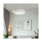 Ventilador de techo