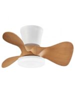 Ventilador de techo