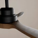 Ventilador de techo