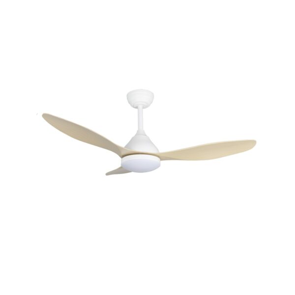 Ventilador de techo