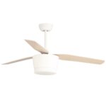 Ventilador de techo