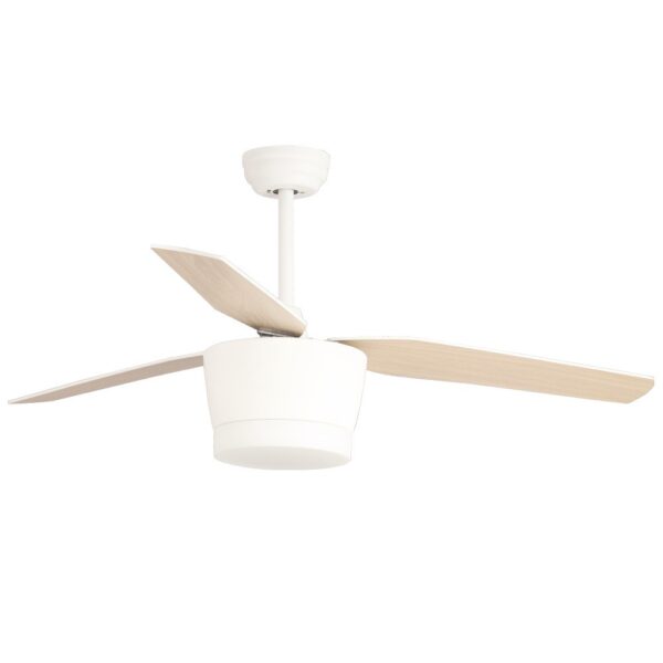 Ventilador de techo