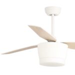 Ventilador de techo