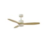 Ventilador de techo