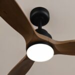 Ventilador de techo