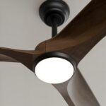 Ventilador de techo
