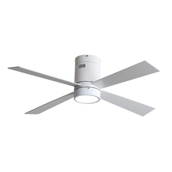 Ventilador de techo