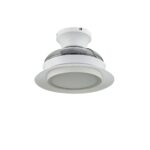 Ventilador de techo