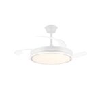 Ventilador de techo