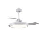 Ventilador de techo