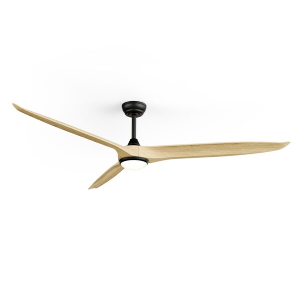 Ventilador de techo