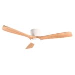 Ventilador de techo
