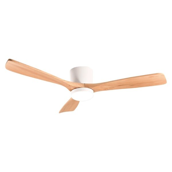 Ventilador de techo