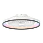 Ventilador de techo