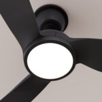 Ventilador de techo