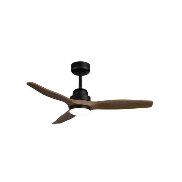 Ventilador de techo