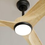 Ventilador de techo