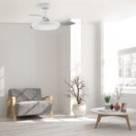 Ventilador de techo