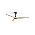 Ventilador de techo