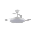 Ventilador de techo