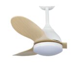 Ventilador de techo