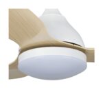 Ventilador de techo