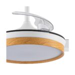 Ventilador LED