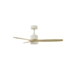 Ventilador de techo