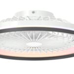 Ventilador de techo