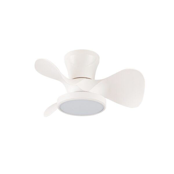Ventilador de techo
