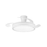 Ventilador de techo