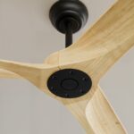 Ventilador de techo